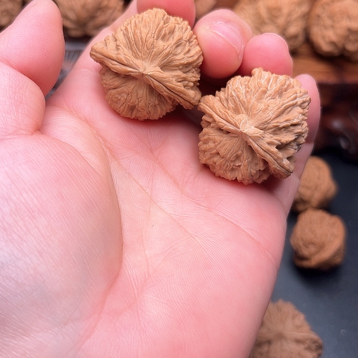 桃核把件核桃白狮子34