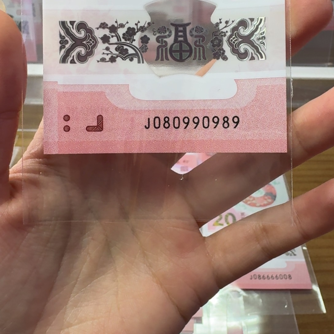 塑料蛇年纪念钞J080990989