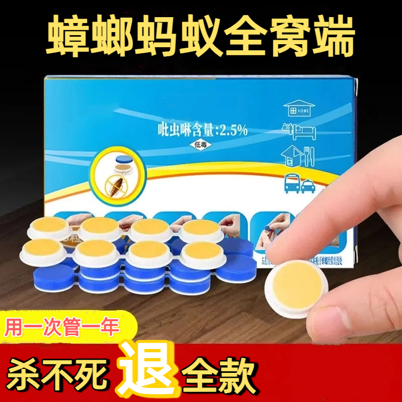 （蟑螂蚂蚁通用）杀蟑饵剂杀虫饵剂蟑螂药一窝端家用灭蟑神器出租房