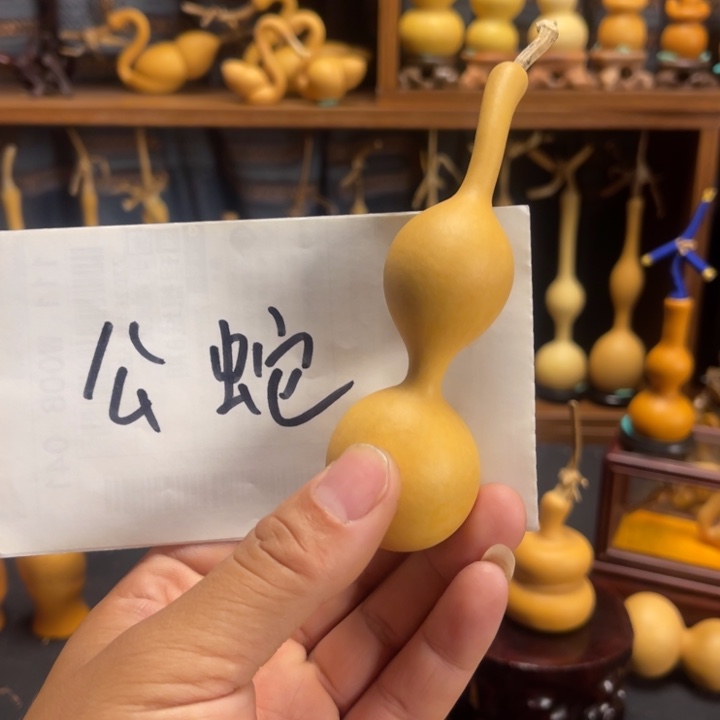 长***亮文玩葫芦杆子葫芦