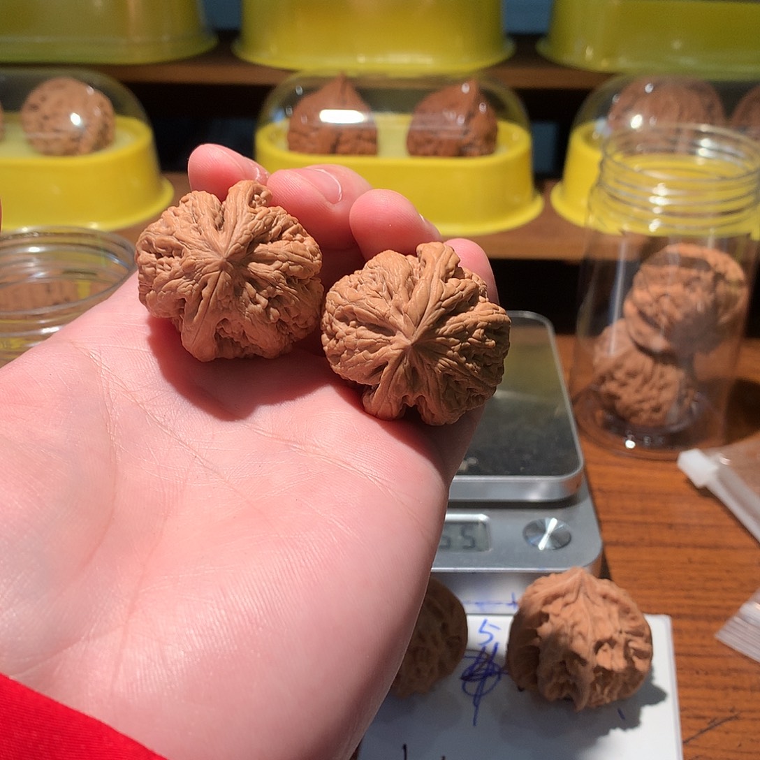 吊坠文玩核桃小球筋