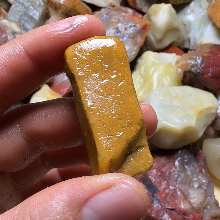落***晖寿山石寿山石的种类