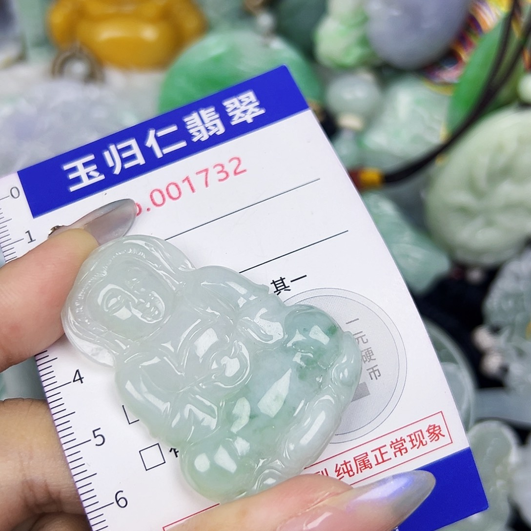 翡翠未镶嵌吊坠(不含链)111