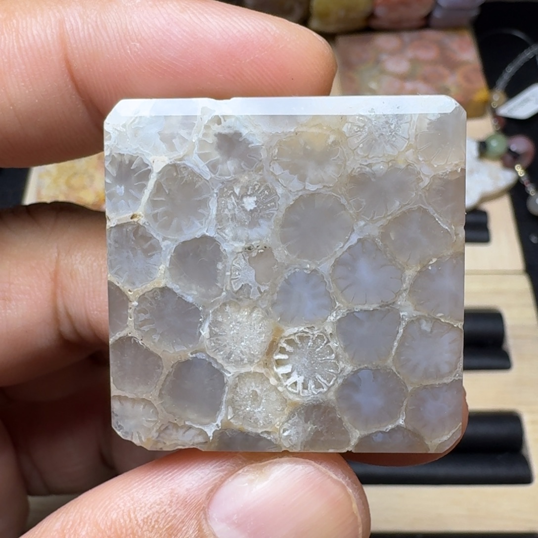 未镶嵌纯天然色有机玉石保真色硅化玉