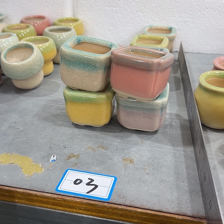 4个 陶瓷小多肉福利价