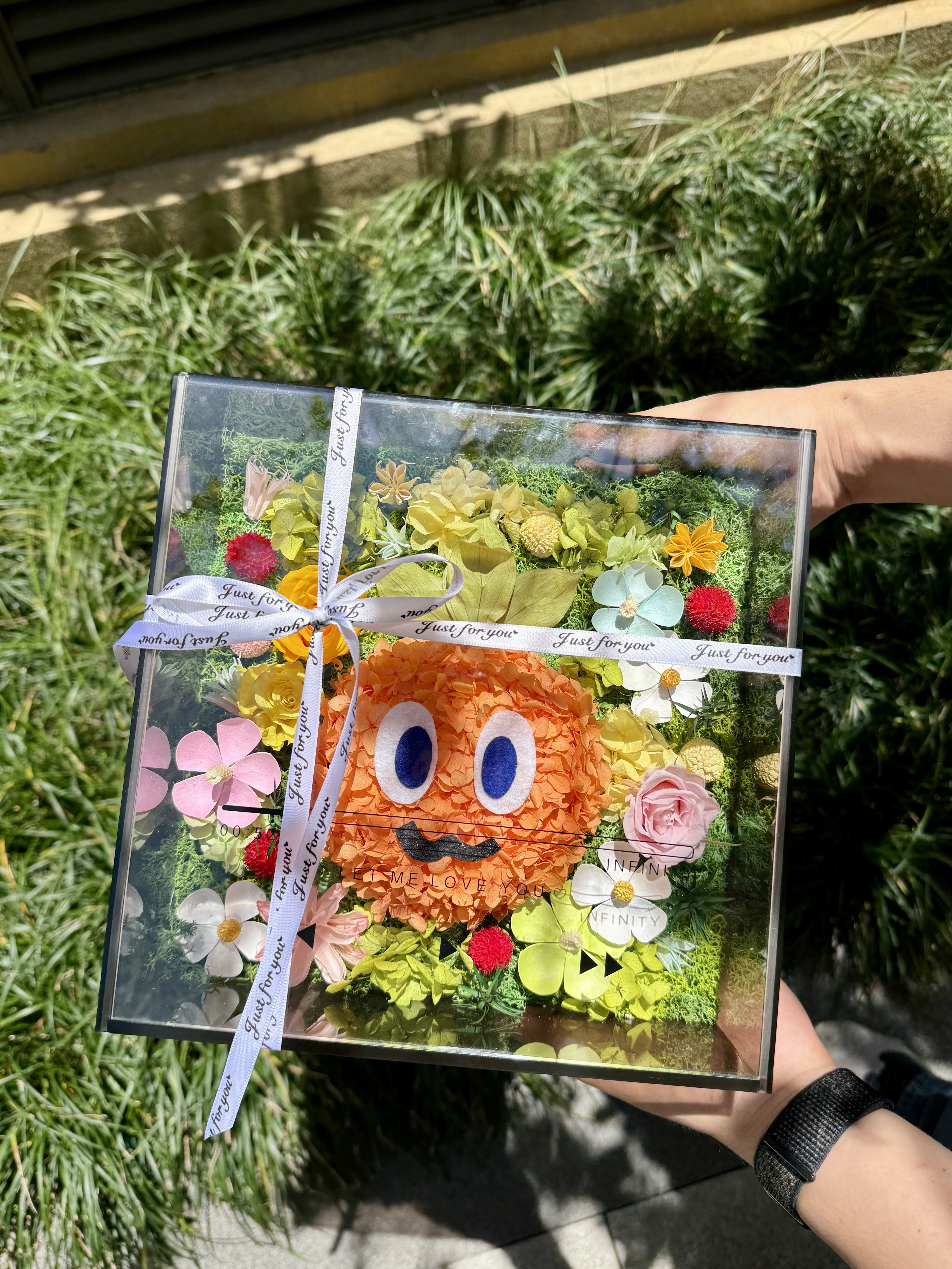 Fairy flowers 萝卜头CD唱片播放器礼盒-五月天卜卜粉必冲