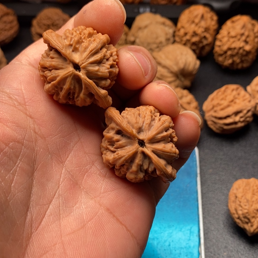 到****桃核把件文玩核头