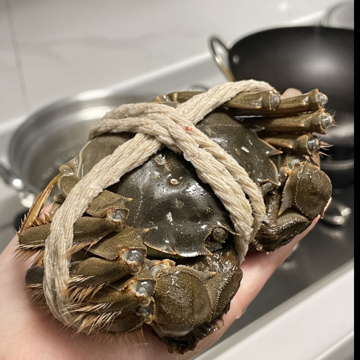 【活蟹】苏州精品大闸蟹！5两公，4两母  6-8+2只装