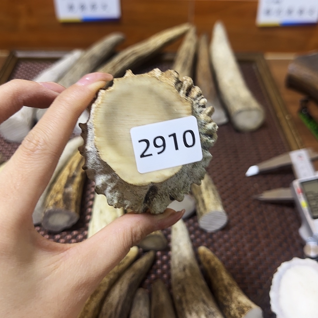 鹿骨手串/手链角帽2901