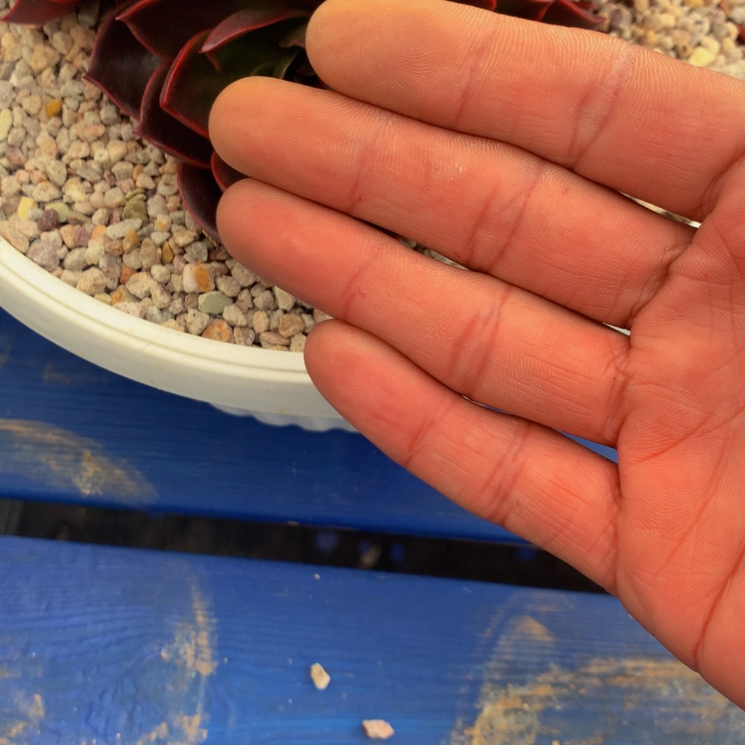 快****好杂交1111111111