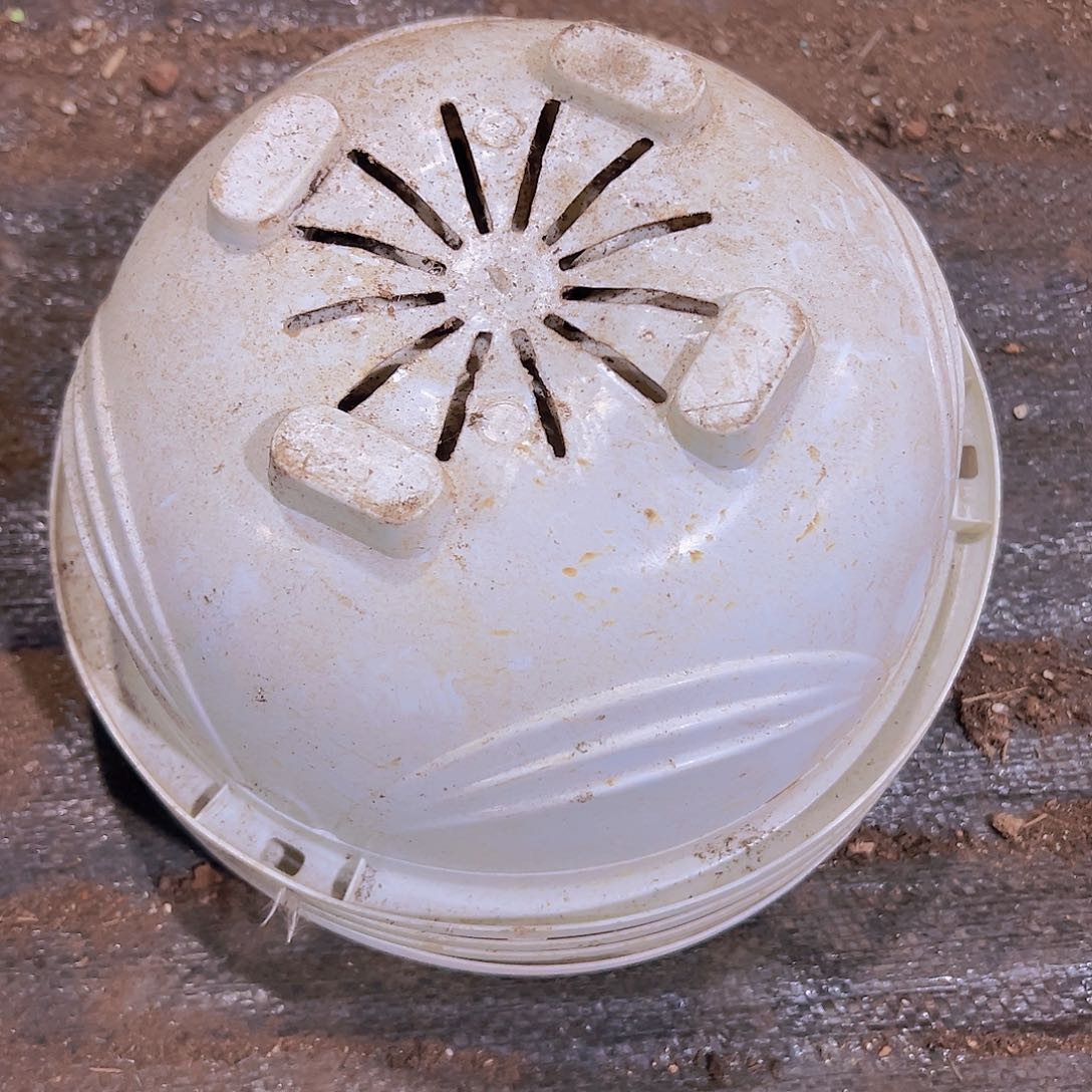 塑料白色吊兰盆硬的10个