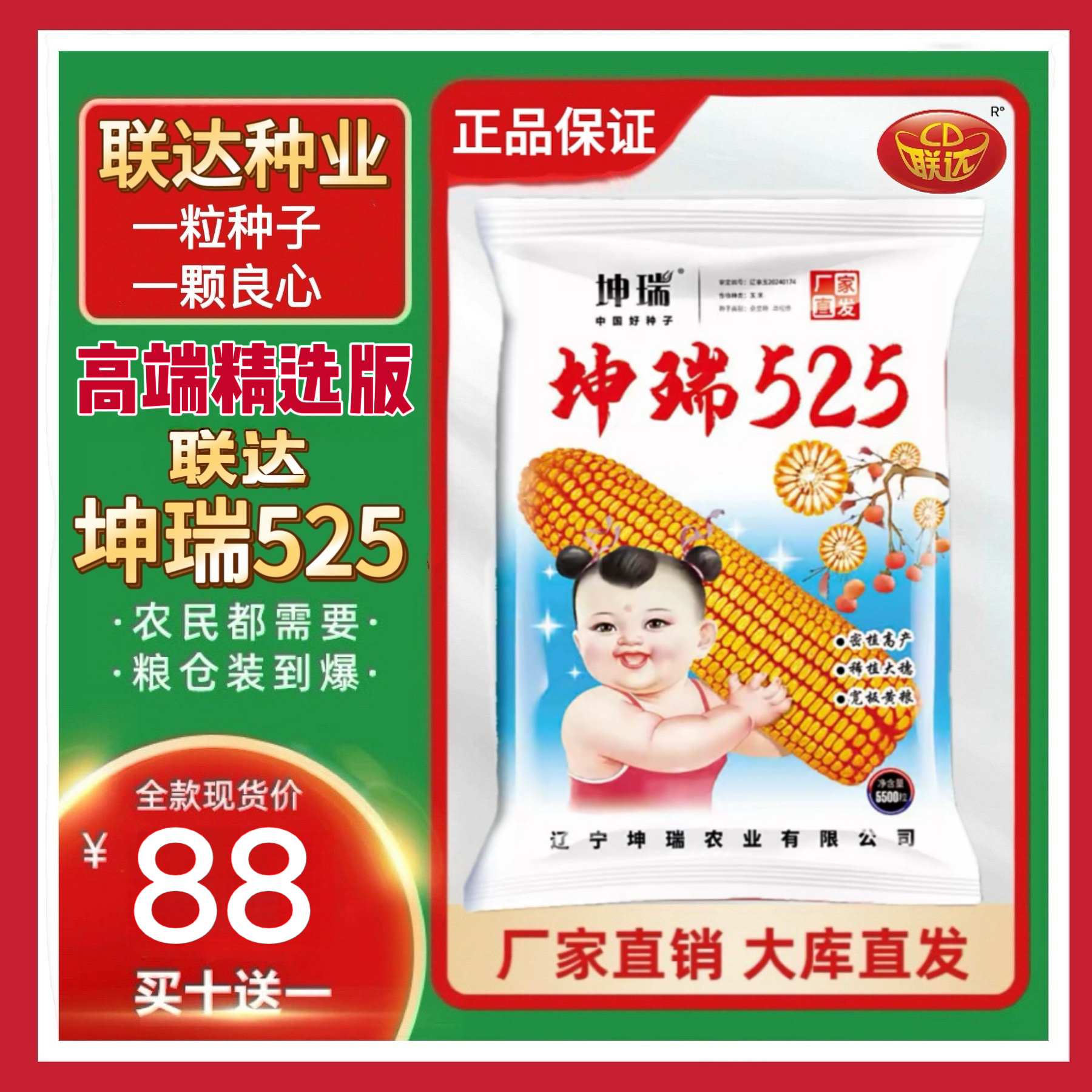 联达坤瑞525玉米种子高产稳产抗病抗倒伏抗虫抗涝大棒（5500粒）