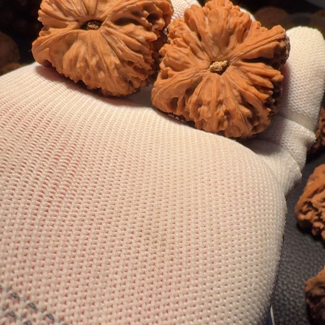 张***芽吊坠文玩核桃有黄有色差有修