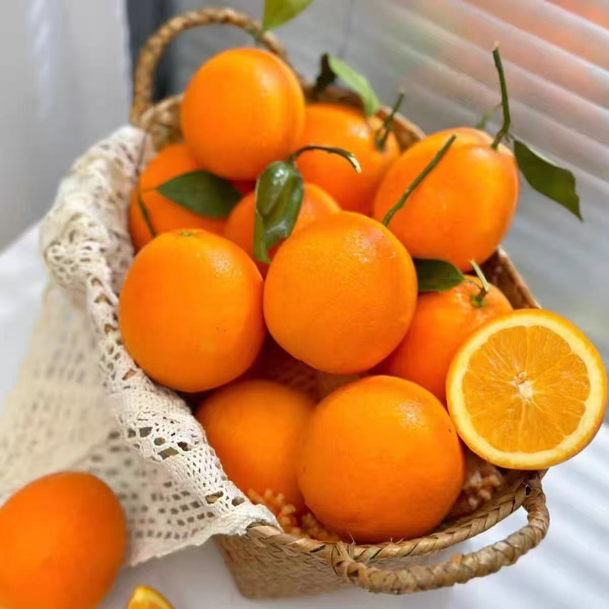 妞荷尔脐橙果园直发新鲜水果皮薄多汁
