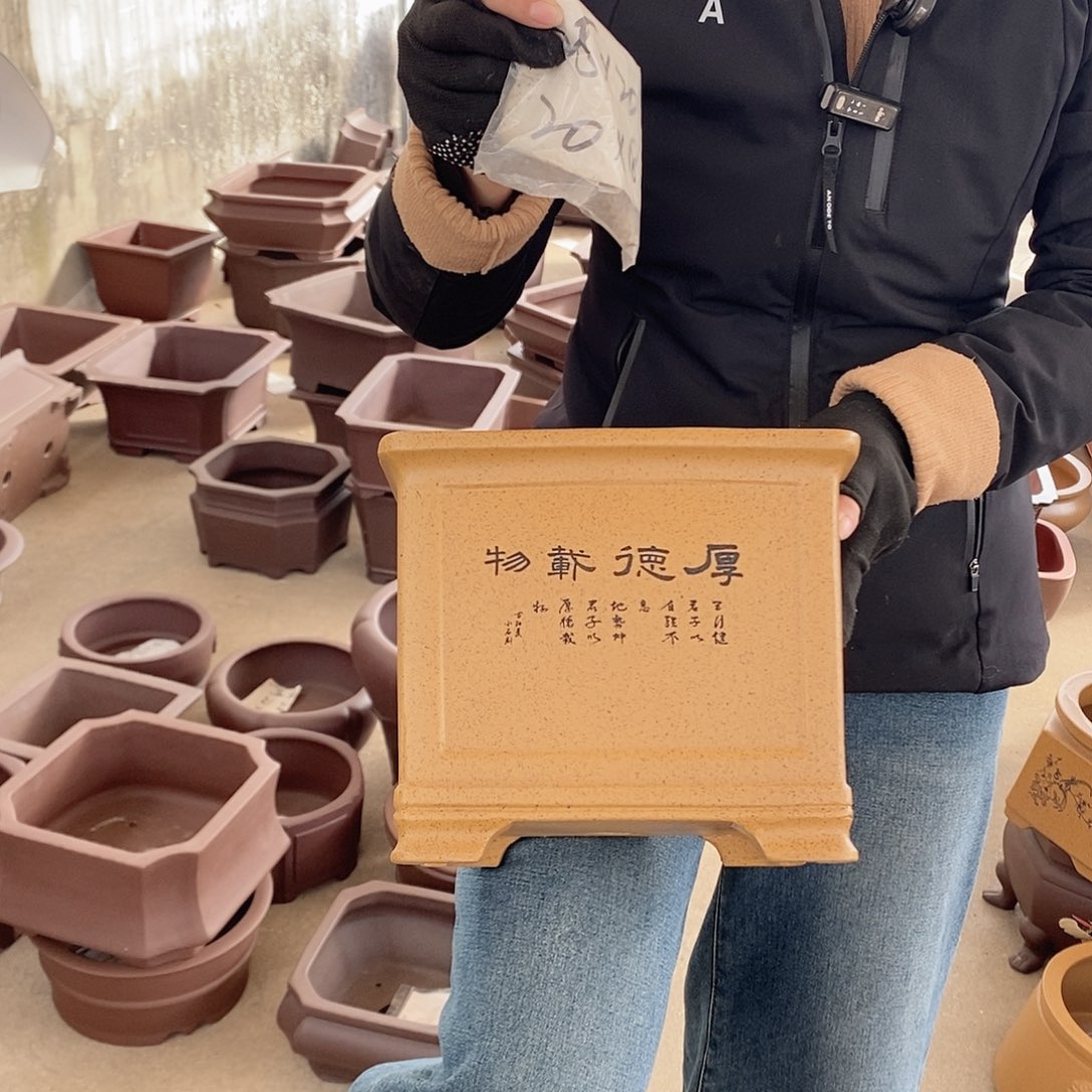 花盆紫砂紫砂花盆