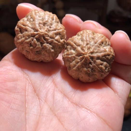 吊坠金刚菩提八瓣金刚手捻