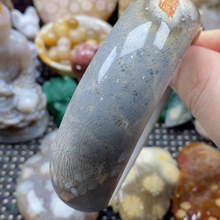 硅化珊瑚（珊瑚玉）颈饰未镶嵌64