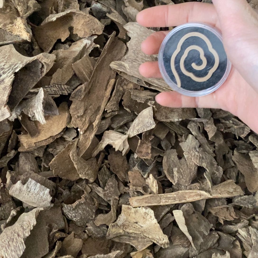 芽庄10克送一克 发11克