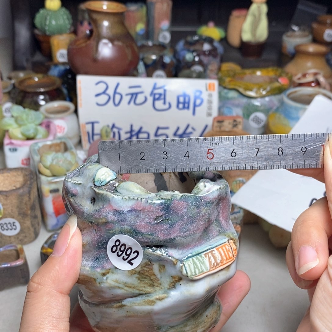 拍2送一个小礼物