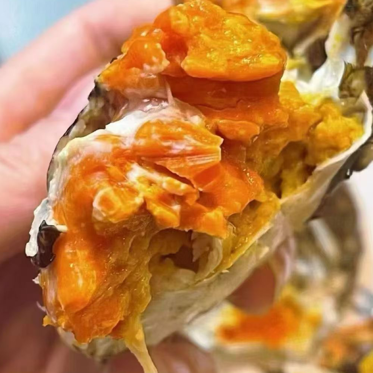 【单只公.母蟹】单只鲜活太湖大闸蟹【1.8两.2两.2.5两.3两.3.5两公母自选】闪送到家