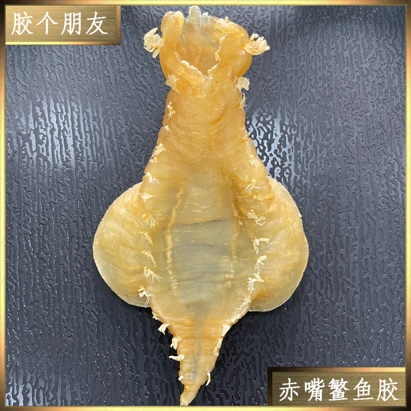 胶个朋友甄选鱼胶1-500g直播间现称链接1000-6000