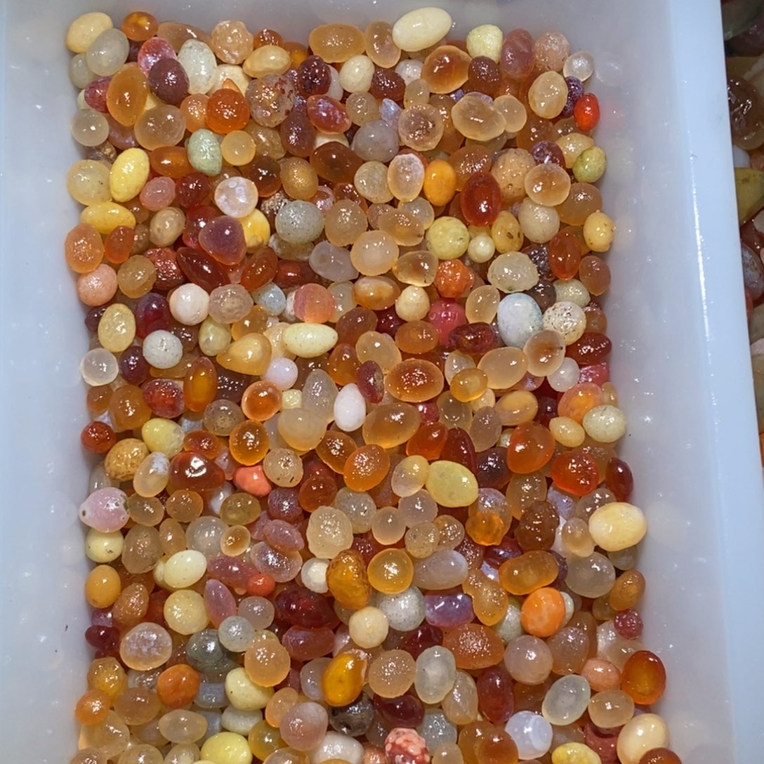 幸***j阿拉善小珠圆珠花盆石