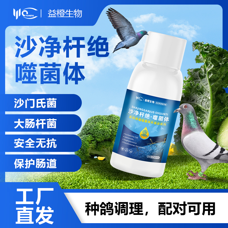 益橙沙净杆绝噬菌体大肠杆沙门氏种鸽调理配对可用不伤鸽体