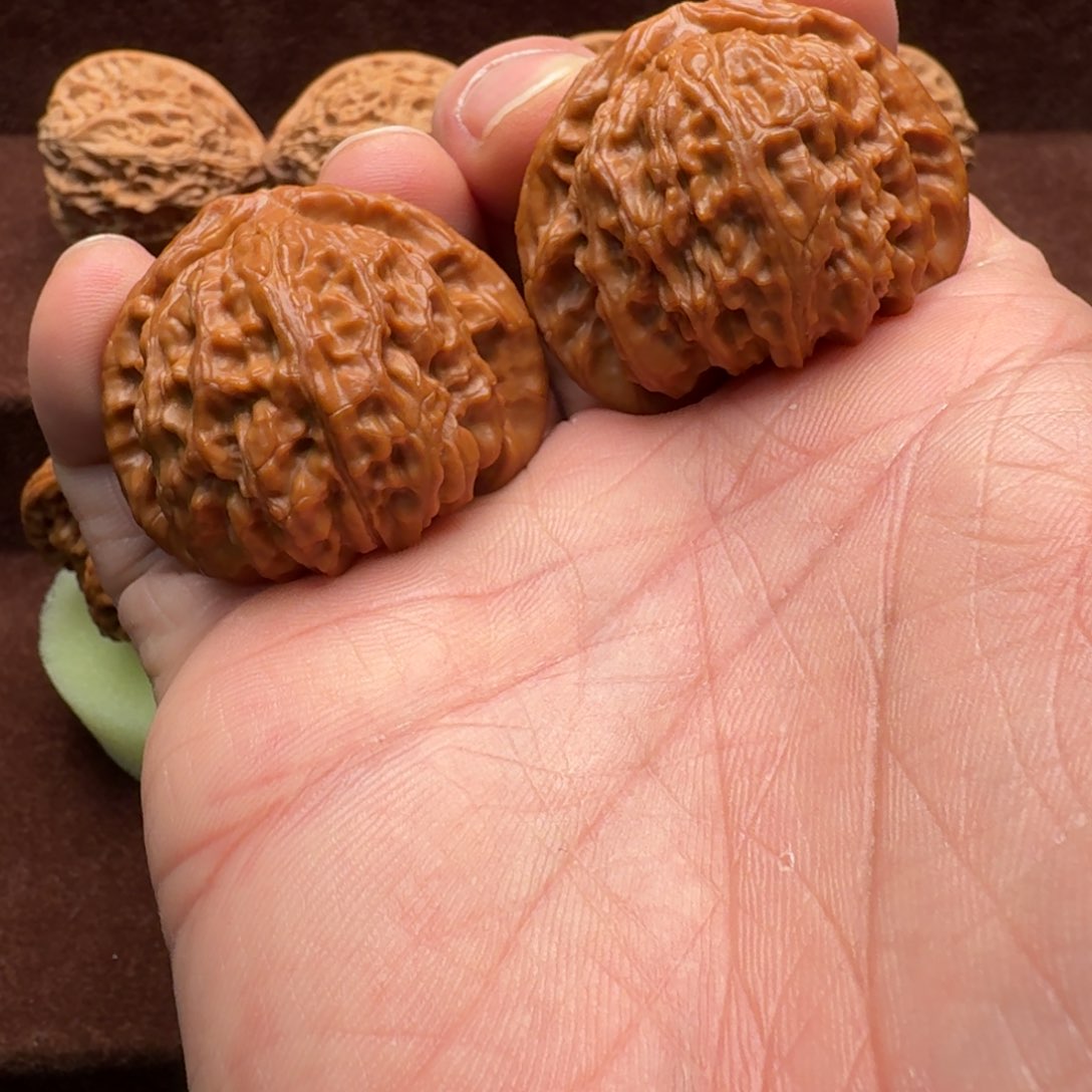 文玩核桃把件白狮子42