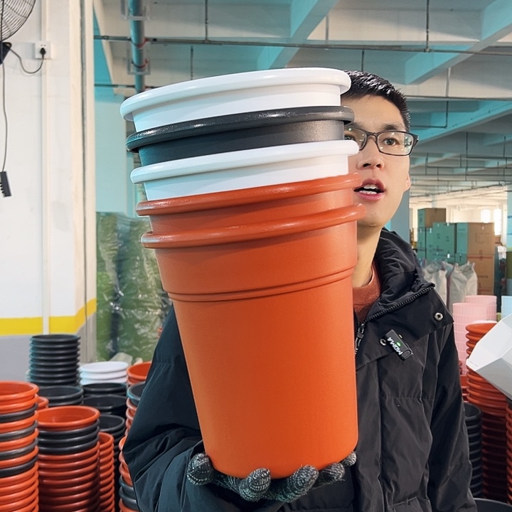 特价翻边口23高25陶红无托5只