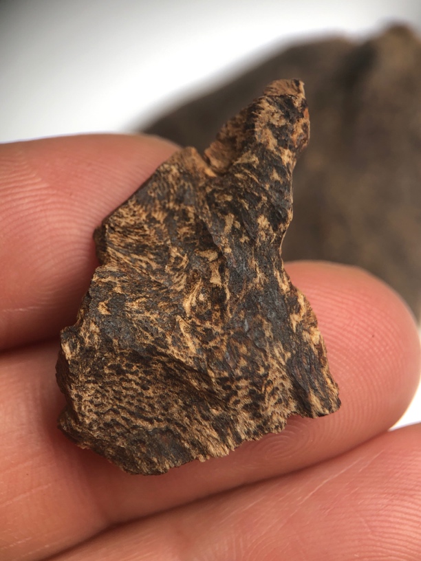 海南沉香 沉水 重1.12克