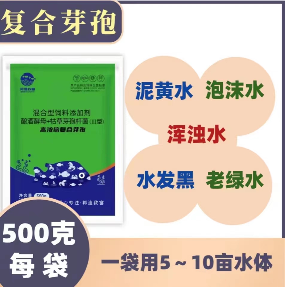 高浓缩复合芽孢3型可净化水质爽水分解残饵有机质降氨氮亚盐