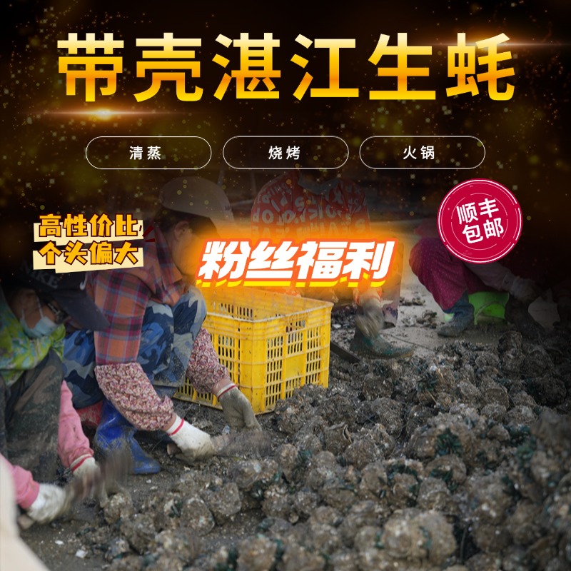 带壳生蚝、15斤装、湛江生蚝、烧烤、清蒸