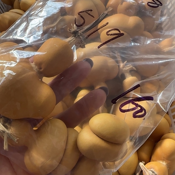 5***9葫芦钱袋子葫芦葫芦