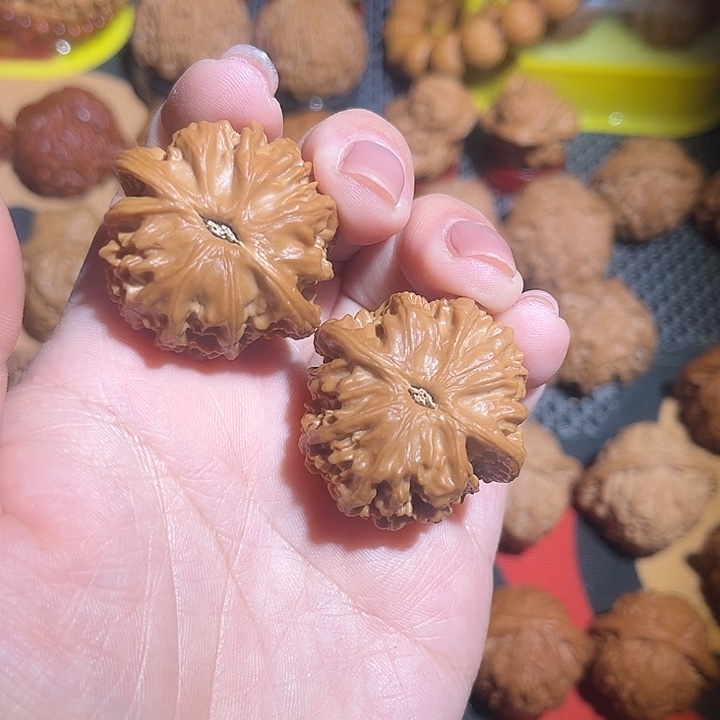追***风小龙眼全品打好底的