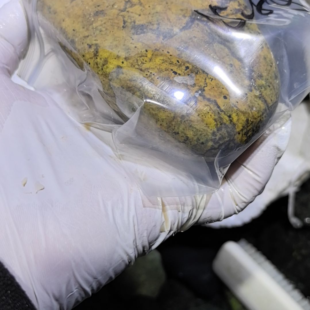 让***然藏玉药王石原石一个摆件