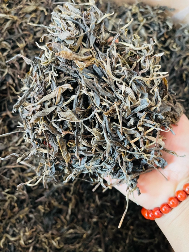 2025（头春头采）回甘来得快