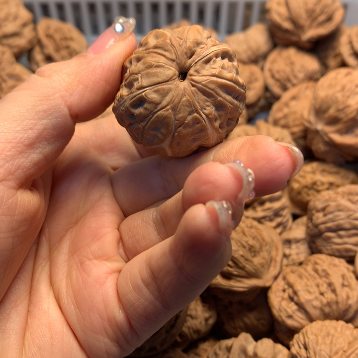 ****大叶紫檀（黑酸枝木类）核桃
