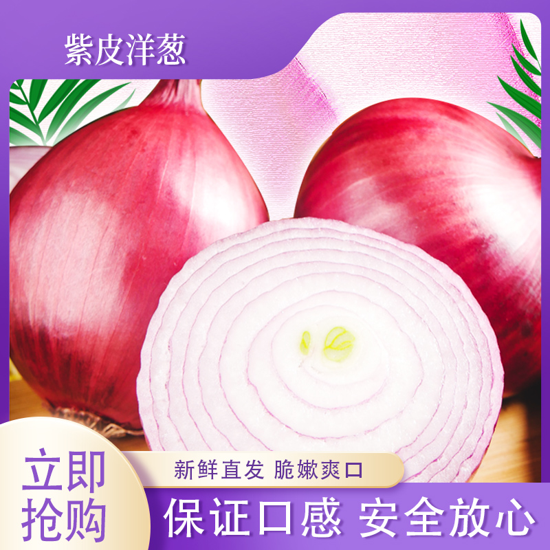 【买五斤送五斤】新鲜现挖紫皮洋葱可生吃炒菜凉拌的水果洋葱ww