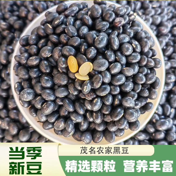农家自产茂名黄心黑豆五谷杂粮富硒高蛋白可打豆浆煲汤天然健康