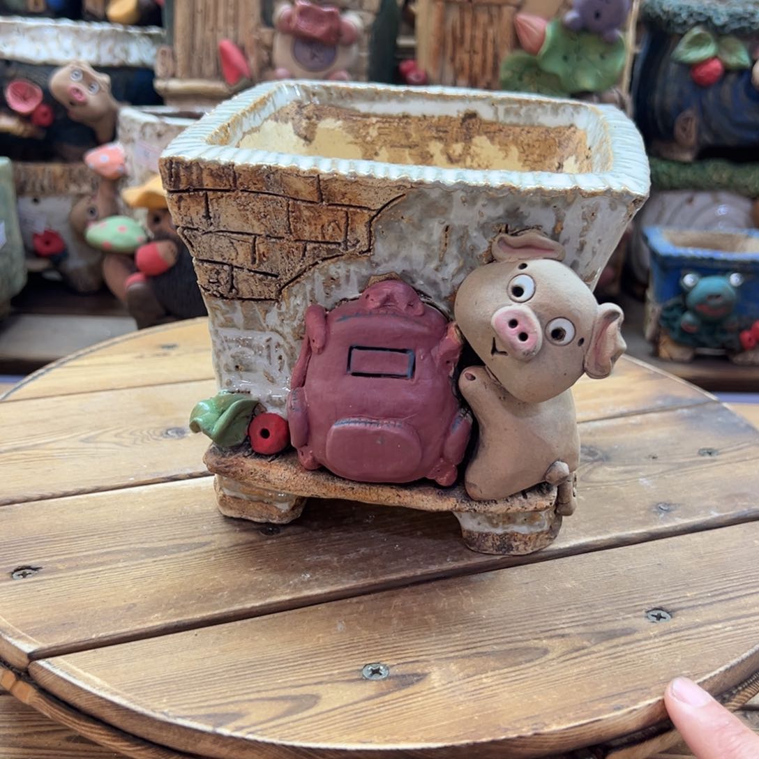 嘻哈多肉花盆百搭