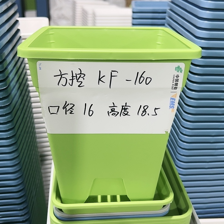 正品方控口16高18果绿色5只无托