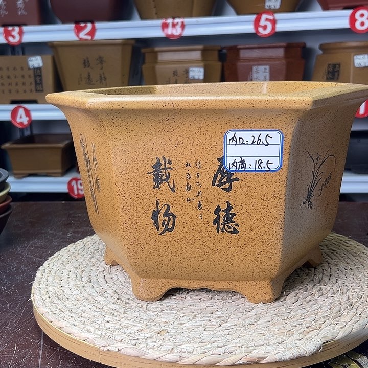 紫砂花盆蛇年大吉