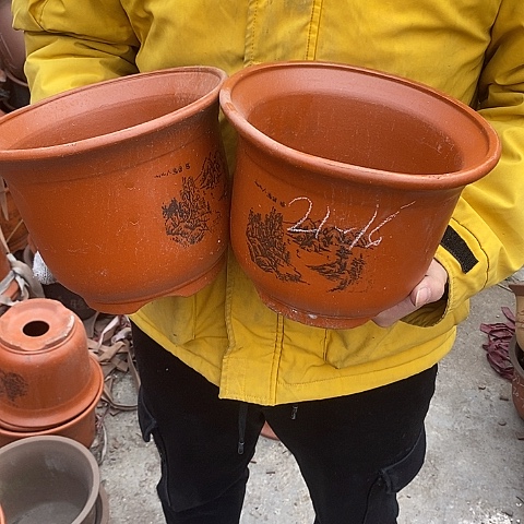 紫砂中国宜兴紫砂花，