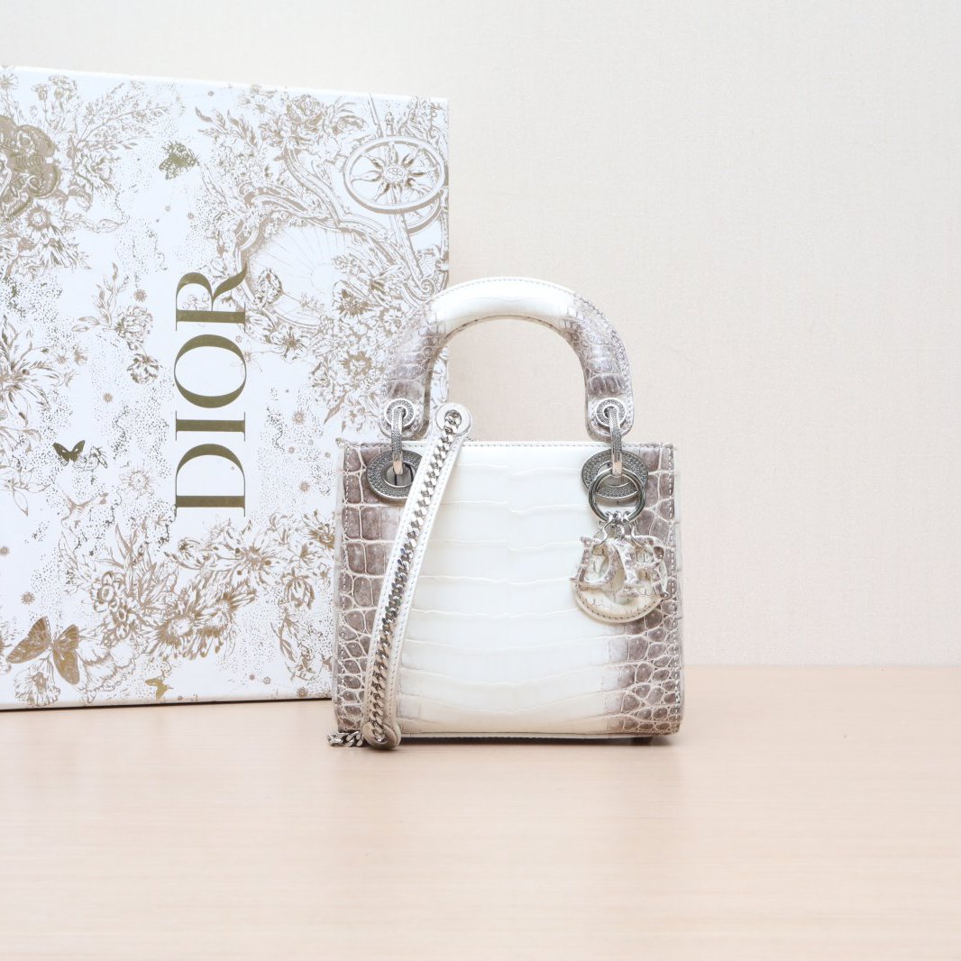 99新 DIOR/迪奥 小花柳 Lady Dior 戴妃包 三格 2020 喜马拉雅