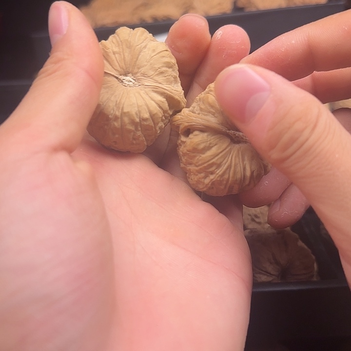 川***丶吊坠龙脊菩提啊啊啊啊啊啊啊南瓜4