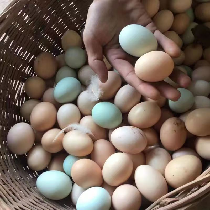 农家散养绿皮，粉皮鸡蛋，混合