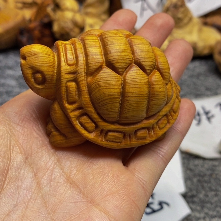 柏木（崖柏）崖柏21