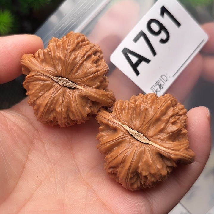 把件桃核核桃白狮子42