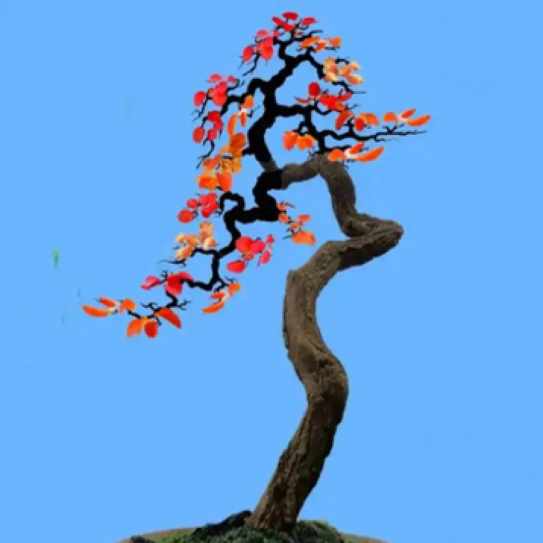 太行山杂木盆景素材直播链接 