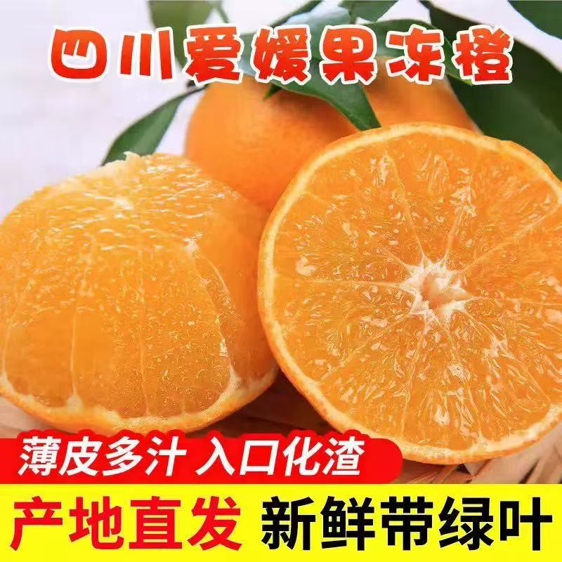 正宗四川眉山爱媛果冻橙应季水果现摘现发果园直发爆甜多汁